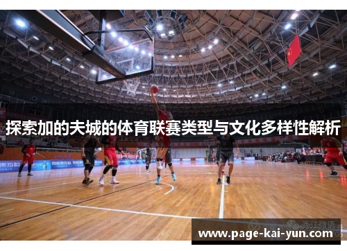 探索加的夫城的体育联赛类型与文化多样性解析
