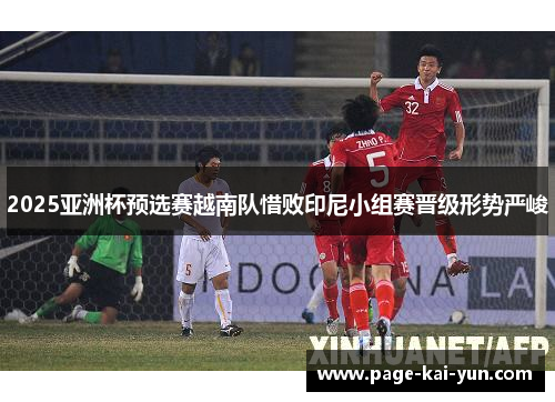 2025亚洲杯预选赛越南队惜败印尼小组赛晋级形势严峻 2025亚洲杯预选赛越南队惜败印尼小组赛晋级形势严峻