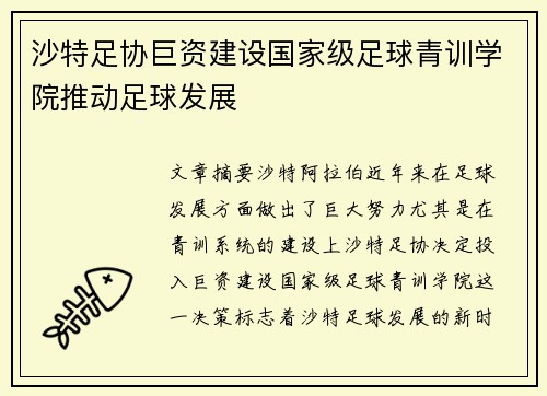 沙特足协巨资建设国家级足球青训学院推动足球发展 沙特足协巨资建设国家级足球青训学院推动足球发展